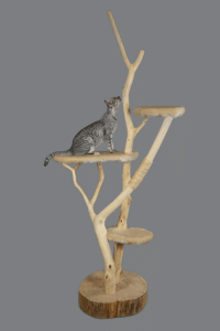 Ratgeber für Kratzbäume, Naturkratzbaum