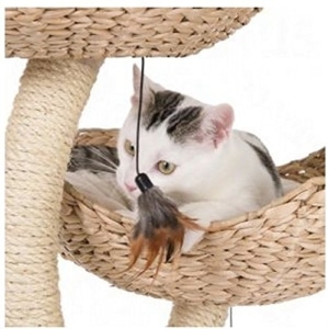 Katze an den Kratzbaum gewöhnen