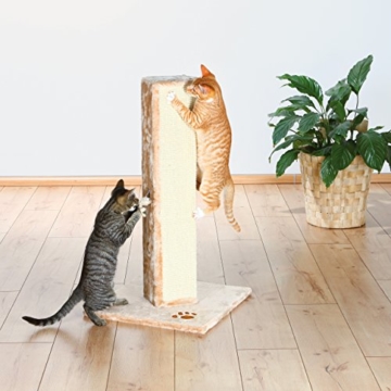 Trixie 43551 Soria Kratzsäule, 45 x 45 cm, beige - 3