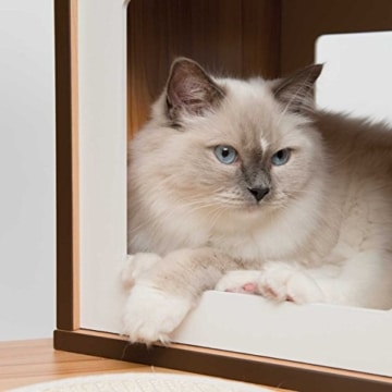 Vesper Katzenmöbel 