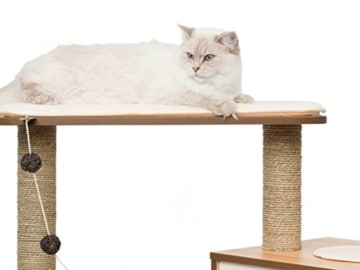 Vesper Katzenmöbel 
