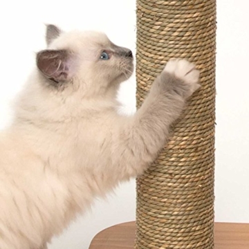 Design Kratzbaum Vesper mit Seegras