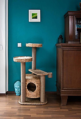 kratzbaum-sea-and-grass-mit-kuschelhoehle-und-katzengras-halter
