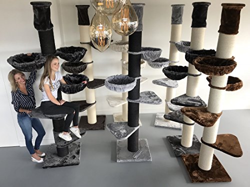 XXL Deckenspanner Kratzbaum Maine Coon Tower RHR kratzbaum-produktfilter