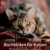 bachblueten-fuer-katzen-natuerlich-lindern-und-heilen-1