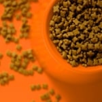 Grundausstattung für Katzen - Ernährung Trockenfutter