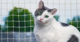 Balkonsicherung für Katzen - Balkone mit Katzennetz sichern gegen Absturz